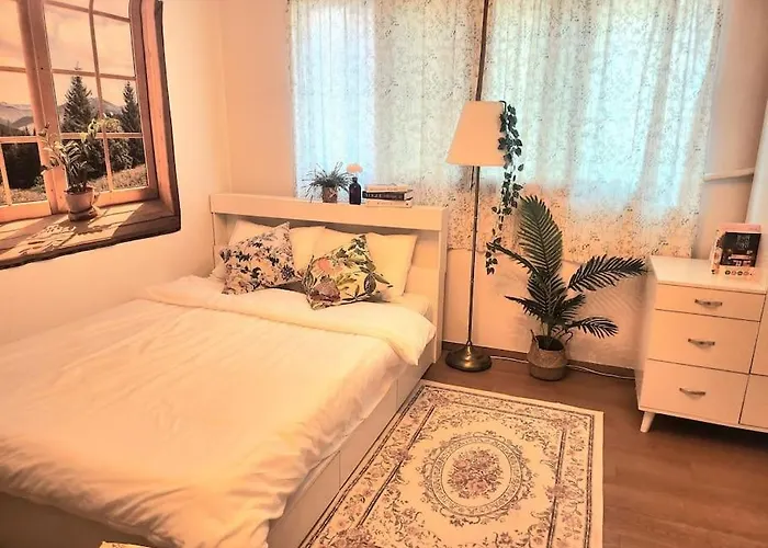 석촌애,락 B&B